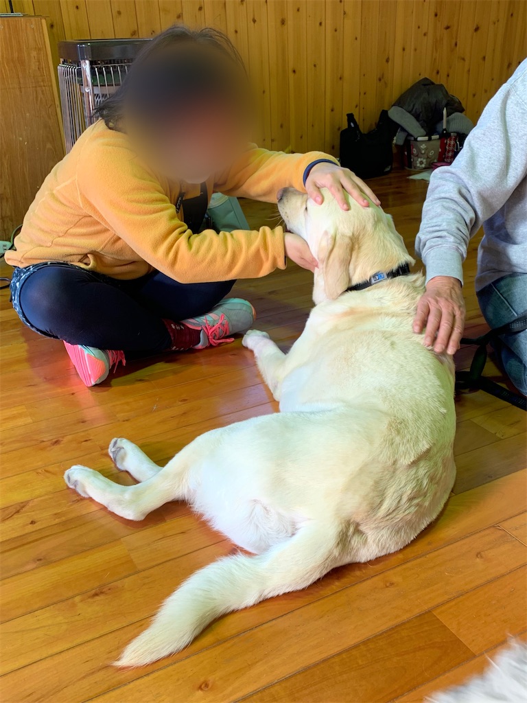 f:id:sakaivet2019:20201114104907j:image f:id:sakaivet2019:20201114104907j:image