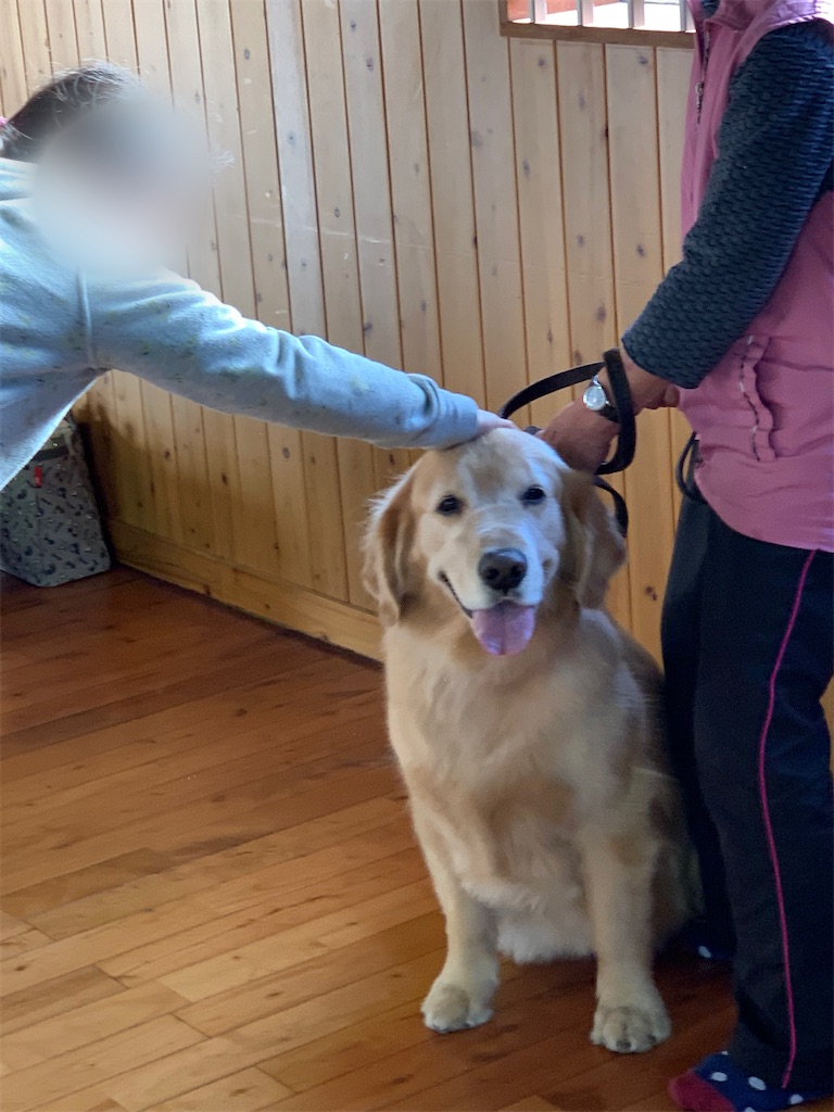 f:id:sakaivet2019:20201114105653j:image f:id:sakaivet2019:20201114105653j:image