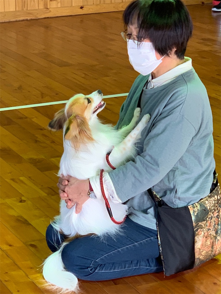 f:id:sakaivet2019:20201114110711j:image f:id:sakaivet2019:20201114110711j:image