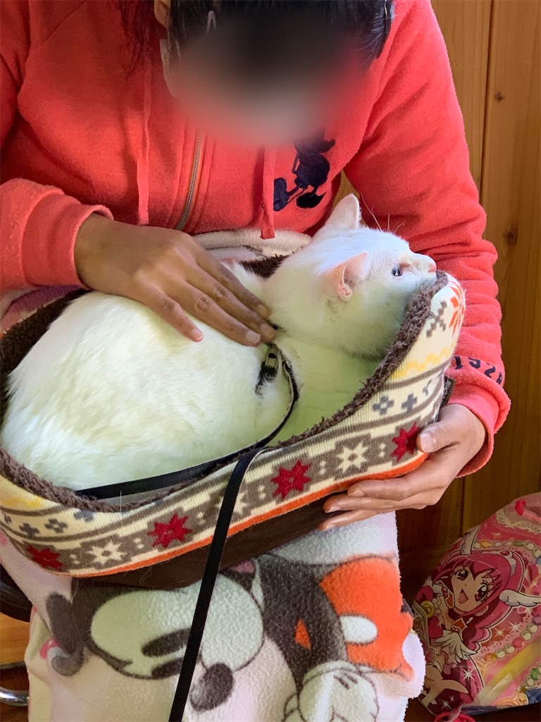 f:id:sakaivet2019:20201114112634j:image f:id:sakaivet2019:20201114112634j:image