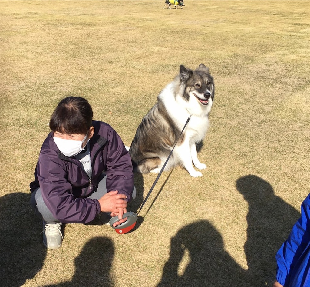 f:id:sakaivet2019:20201115133454j:image f:id:sakaivet2019:20201115133454j:image