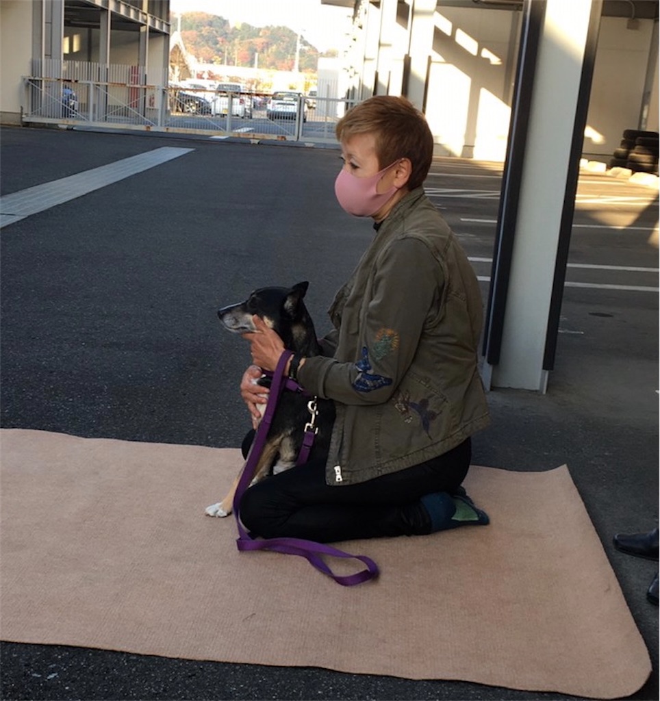 f:id:sakaivet2019:20201118192941j:image