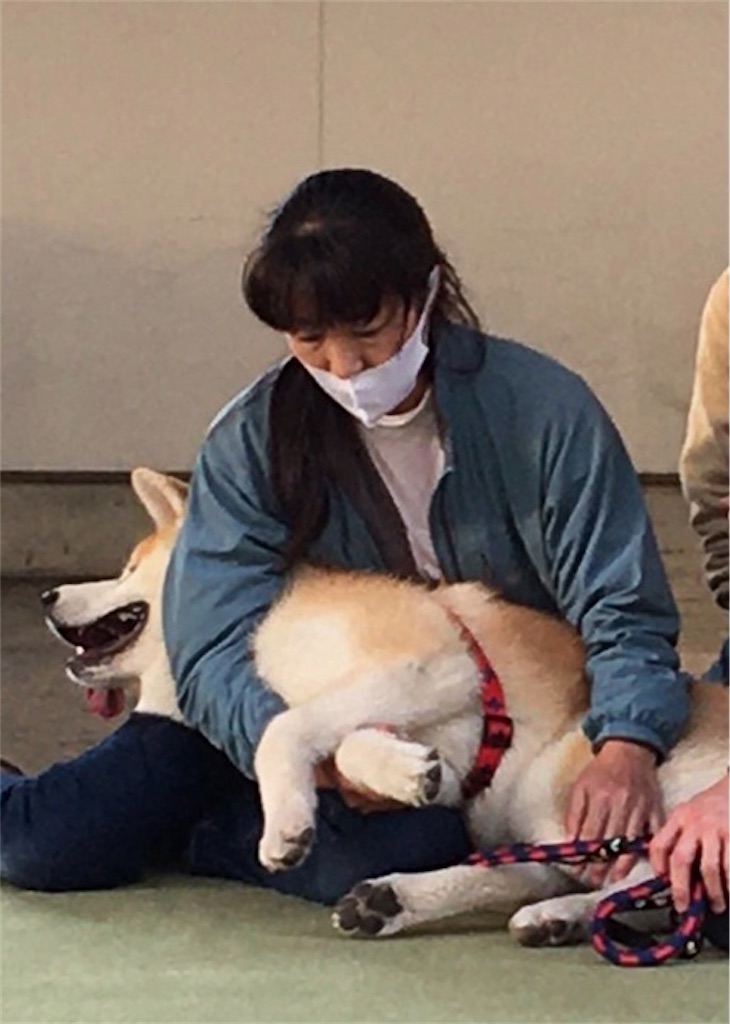 f:id:sakaivet2019:20201118211849j:image