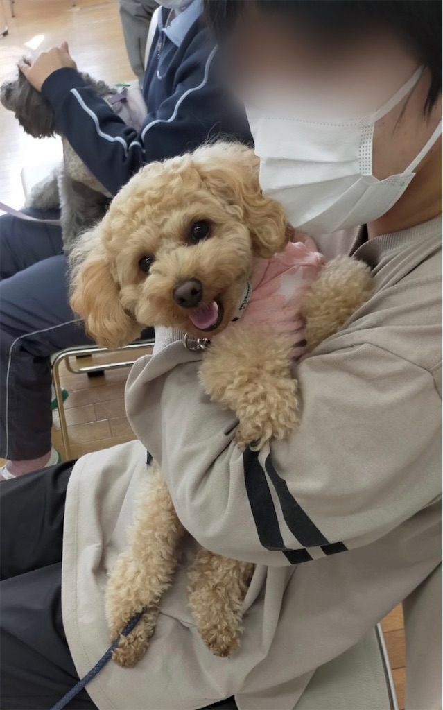 f:id:sakaivet2019:20201130123838j:image f:id:sakaivet2019:20201130123838j:image