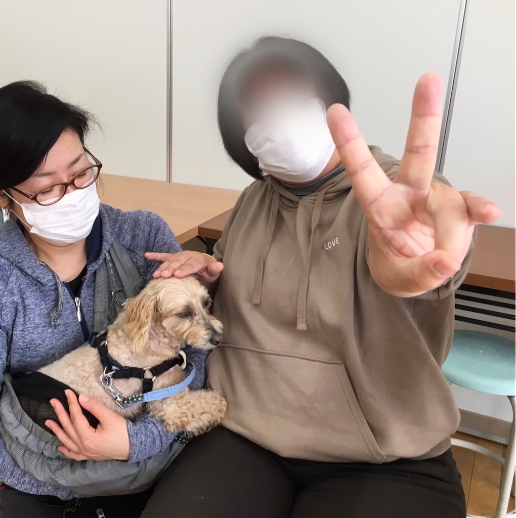 f:id:sakaivet2019:20201130130118j:image f:id:sakaivet2019:20201130130118j:image