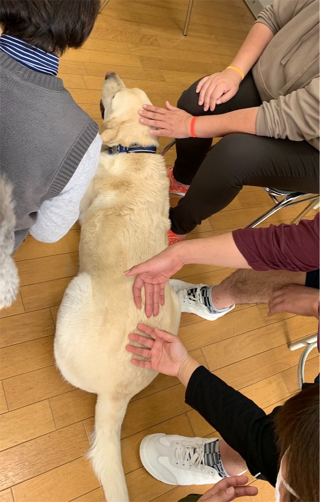f:id:sakaivet2019:20201130130954j:image f:id:sakaivet2019:20201130130954j:image