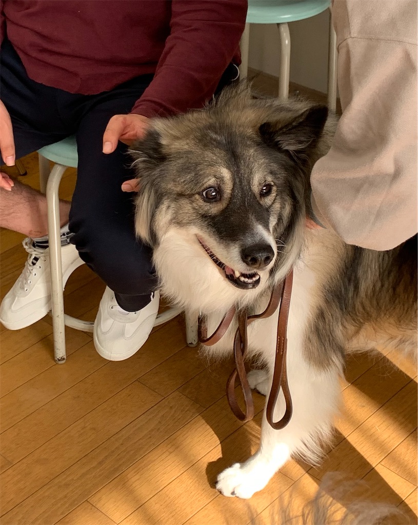 f:id:sakaivet2019:20201130132050j:image f:id:sakaivet2019:20201130132050j:image