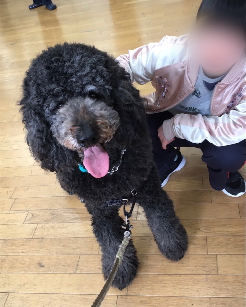 f:id:sakaivet2019:20201130134113j:image f:id:sakaivet2019:20201130134113j:image