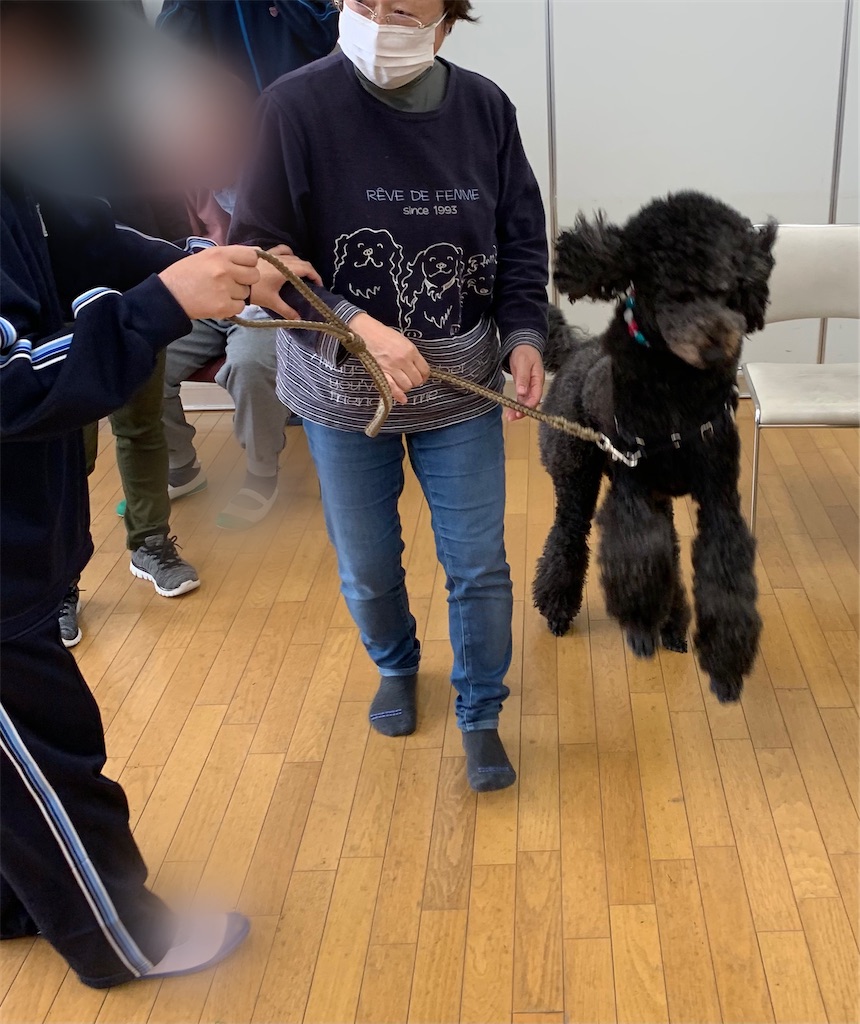 f:id:sakaivet2019:20201130134706j:image f:id:sakaivet2019:20201130134706j:image