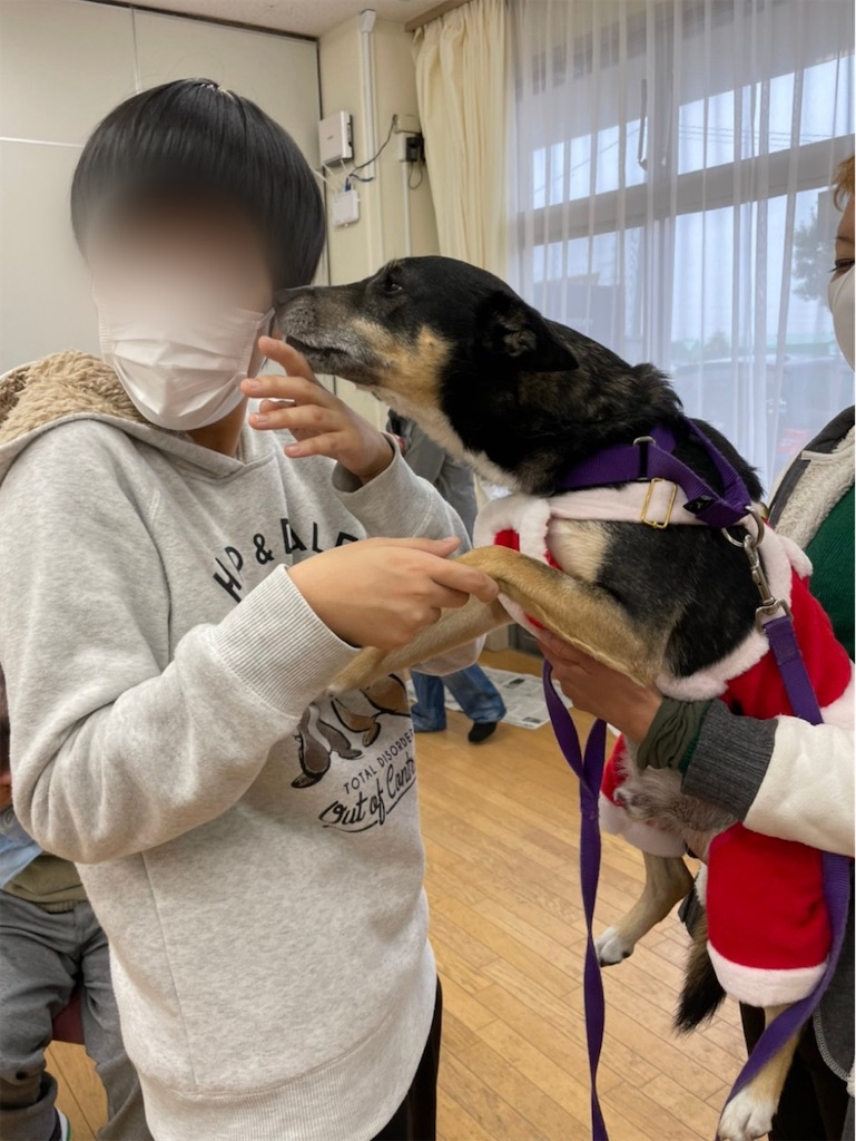 f:id:sakaivet2019:20201210223607j:image f:id:sakaivet2019:20201210223607j:image