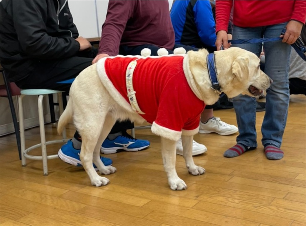 f:id:sakaivet2019:20201210224646j:image f:id:sakaivet2019:20201210224646j:image