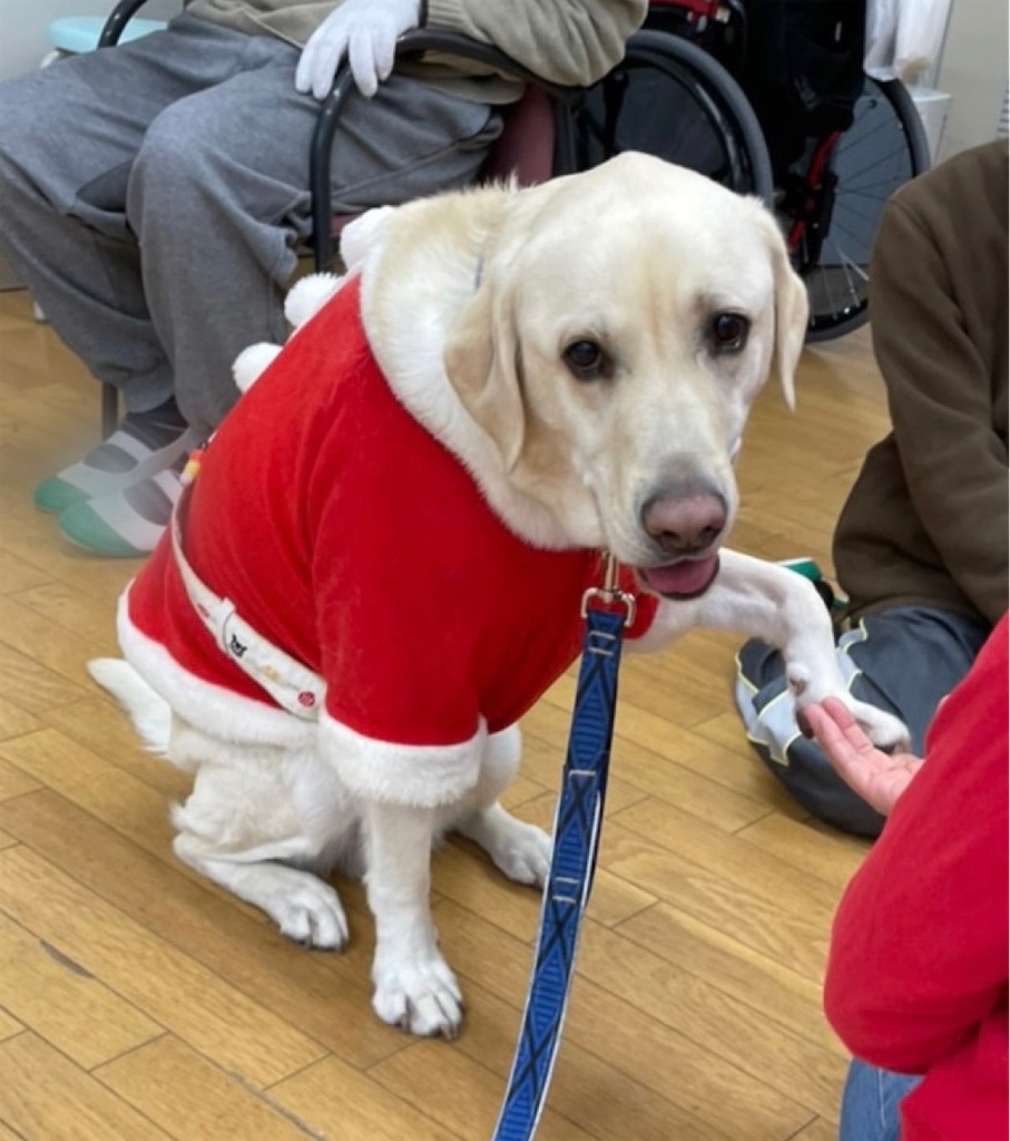 f:id:sakaivet2019:20201210224714j:image f:id:sakaivet2019:20201210224714j:image
