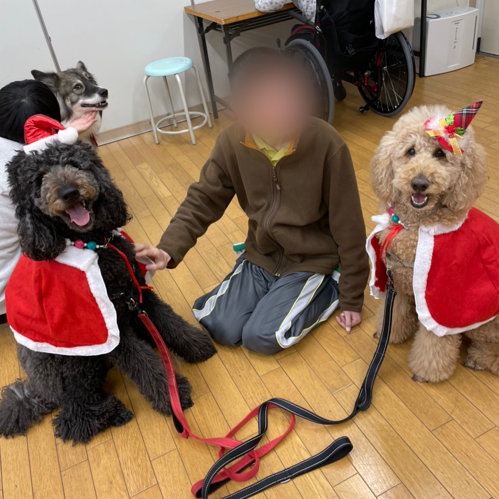 f:id:sakaivet2019:20201210225011j:image f:id:sakaivet2019:20201210225011j:image