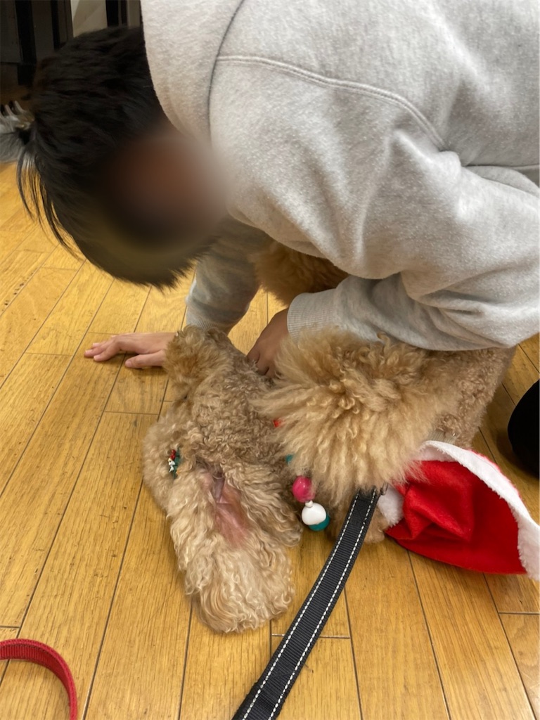 f:id:sakaivet2019:20201210225555j:image f:id:sakaivet2019:20201210225555j:image