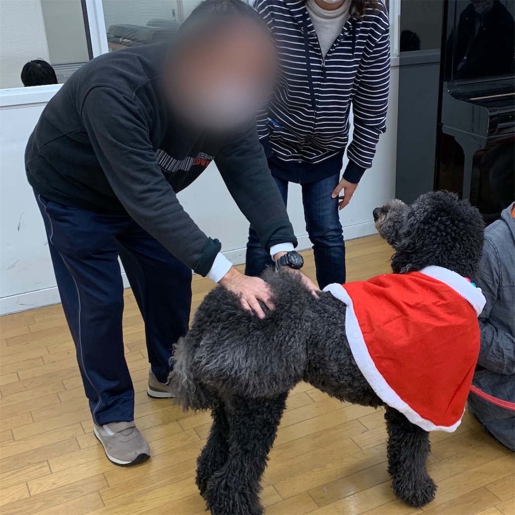 f:id:sakaivet2019:20201210225605j:image f:id:sakaivet2019:20201210225605j:image