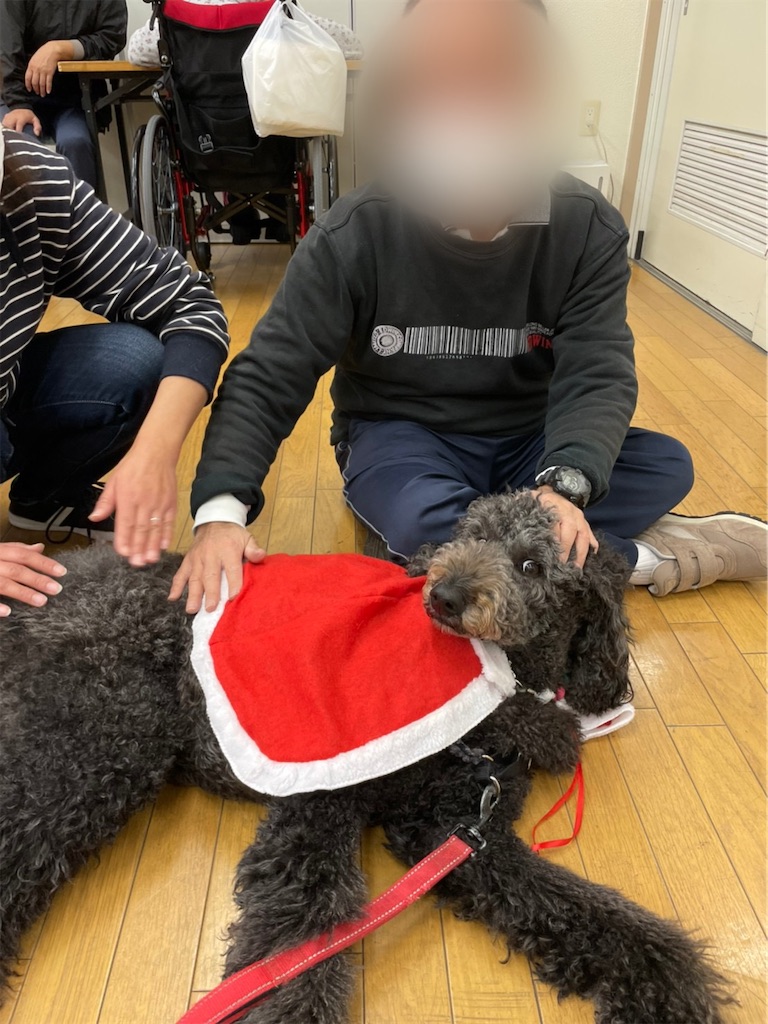 f:id:sakaivet2019:20201210230102j:image f:id:sakaivet2019:20201210230102j:image