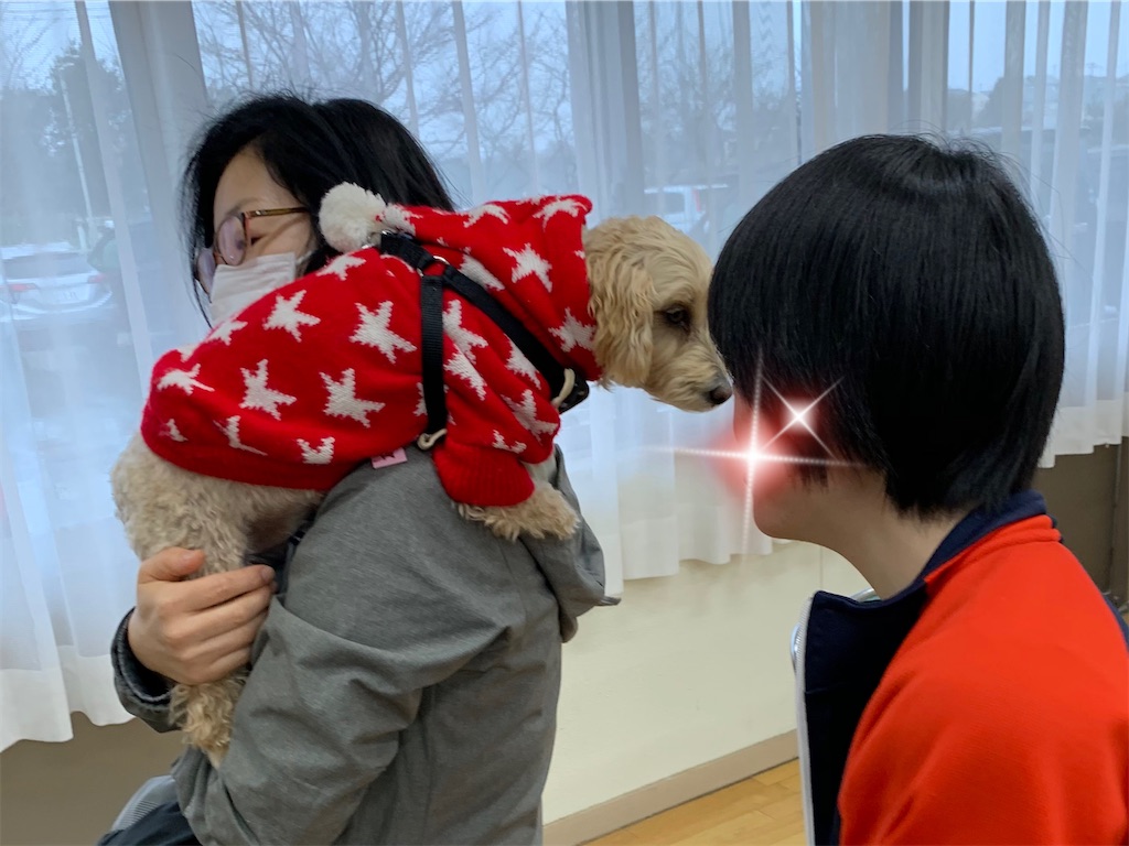 f:id:sakaivet2019:20201210231020j:image f:id:sakaivet2019:20201210231020j:image