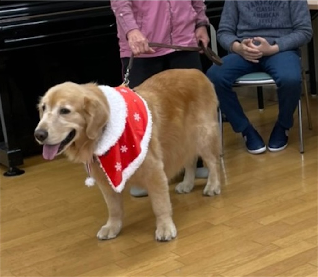 f:id:sakaivet2019:20201210232120j:image f:id:sakaivet2019:20201210232120j:image