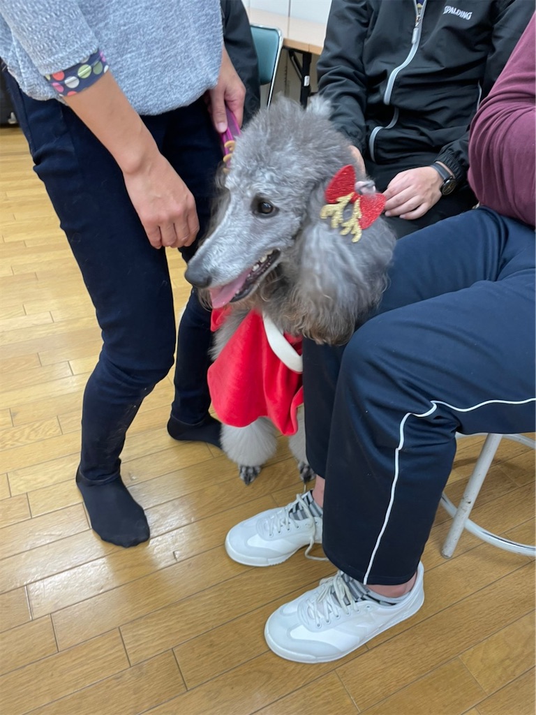 f:id:sakaivet2019:20201210232224j:image f:id:sakaivet2019:20201210232224j:image