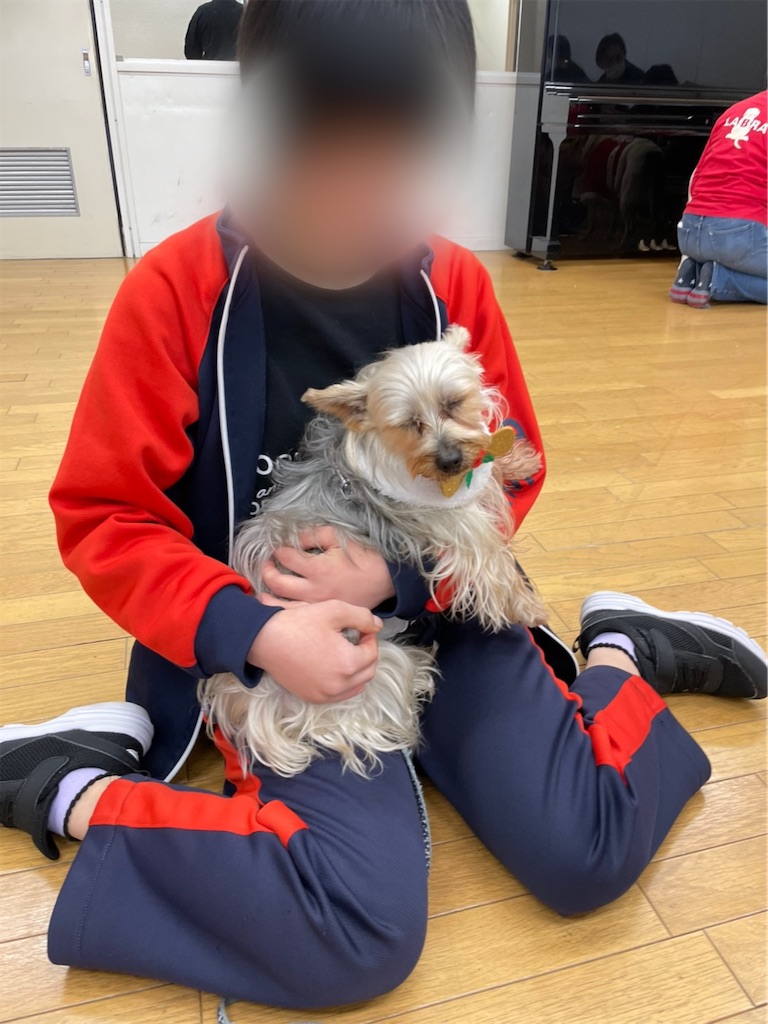 f:id:sakaivet2019:20201210232431j:image f:id:sakaivet2019:20201210232431j:image