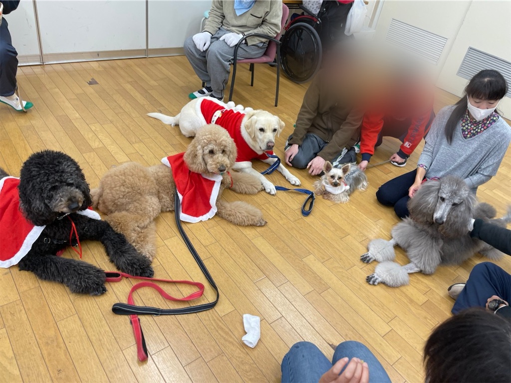 f:id:sakaivet2019:20201210233508j:image f:id:sakaivet2019:20201210233508j:image
