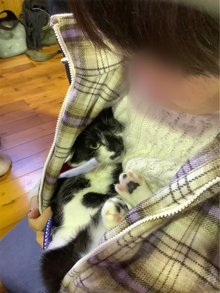 f:id:sakaivet2019:20201217222623j:image f:id:sakaivet2019:20201217222623j:image