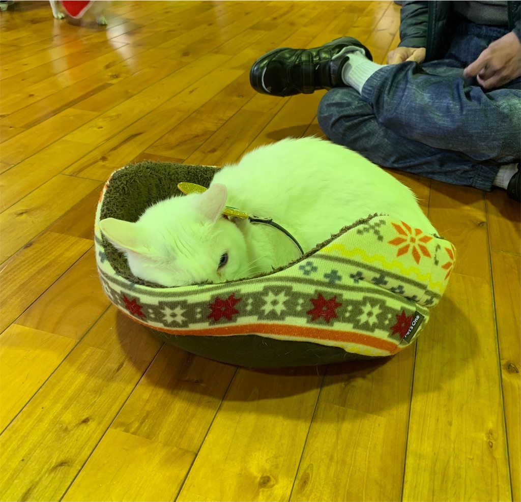 f:id:sakaivet2019:20201217223728j:image f:id:sakaivet2019:20201217223728j:image