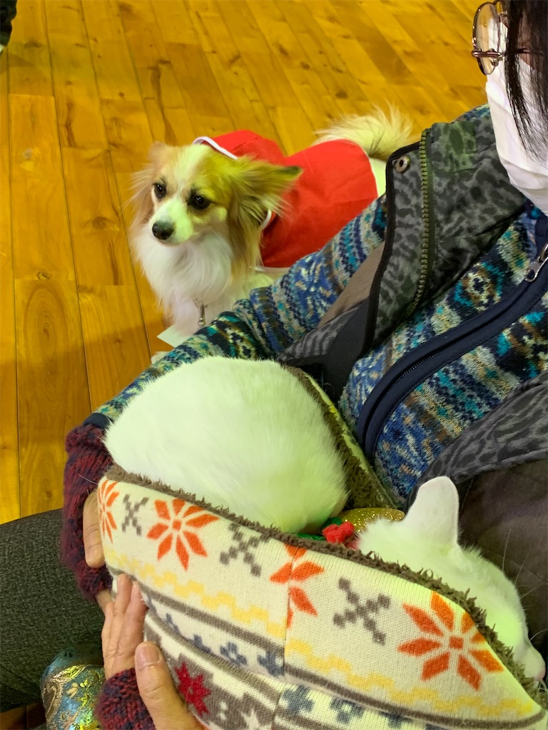 f:id:sakaivet2019:20201217224043j:image f:id:sakaivet2019:20201217224043j:image