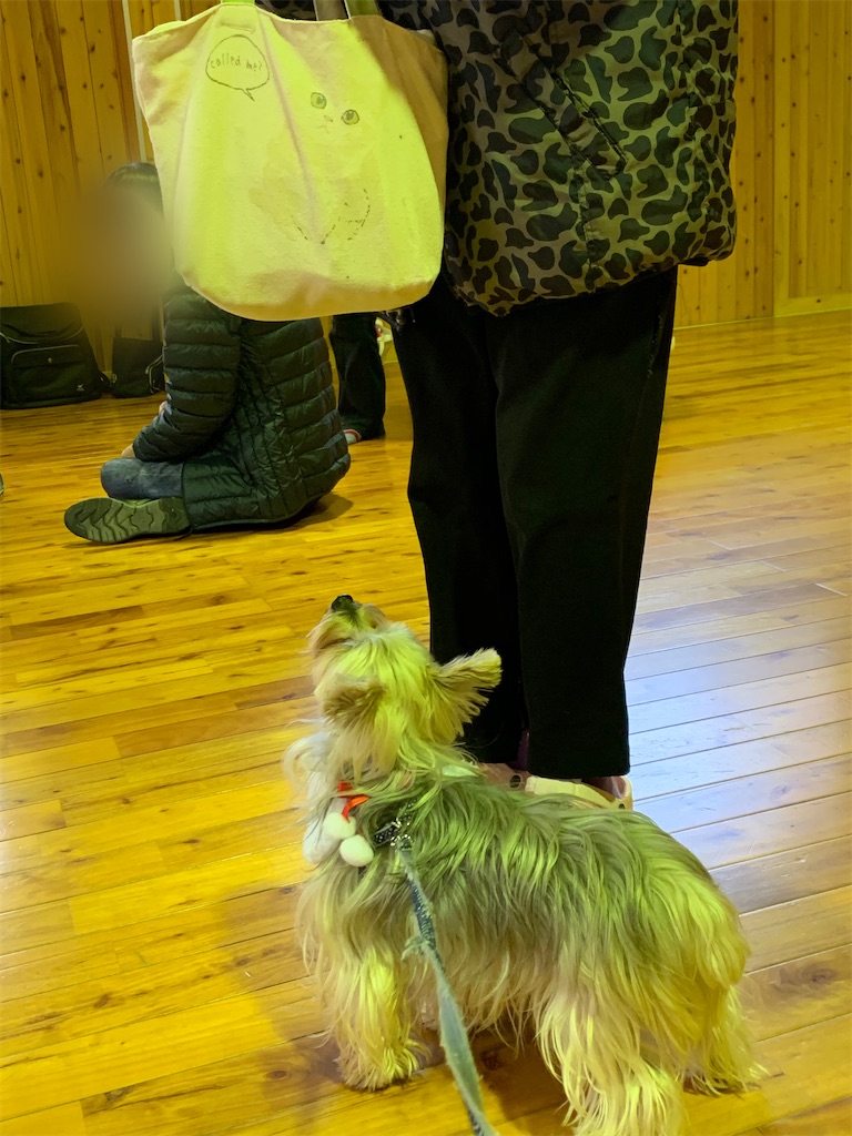 f:id:sakaivet2019:20201217224441j:image f:id:sakaivet2019:20201217224441j:image