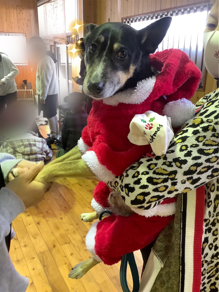 f:id:sakaivet2019:20201217230437j:image f:id:sakaivet2019:20201217230437j:image