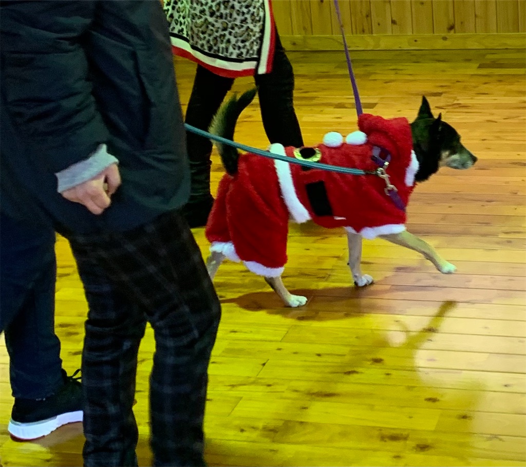 f:id:sakaivet2019:20201217230509j:image f:id:sakaivet2019:20201217230509j:image