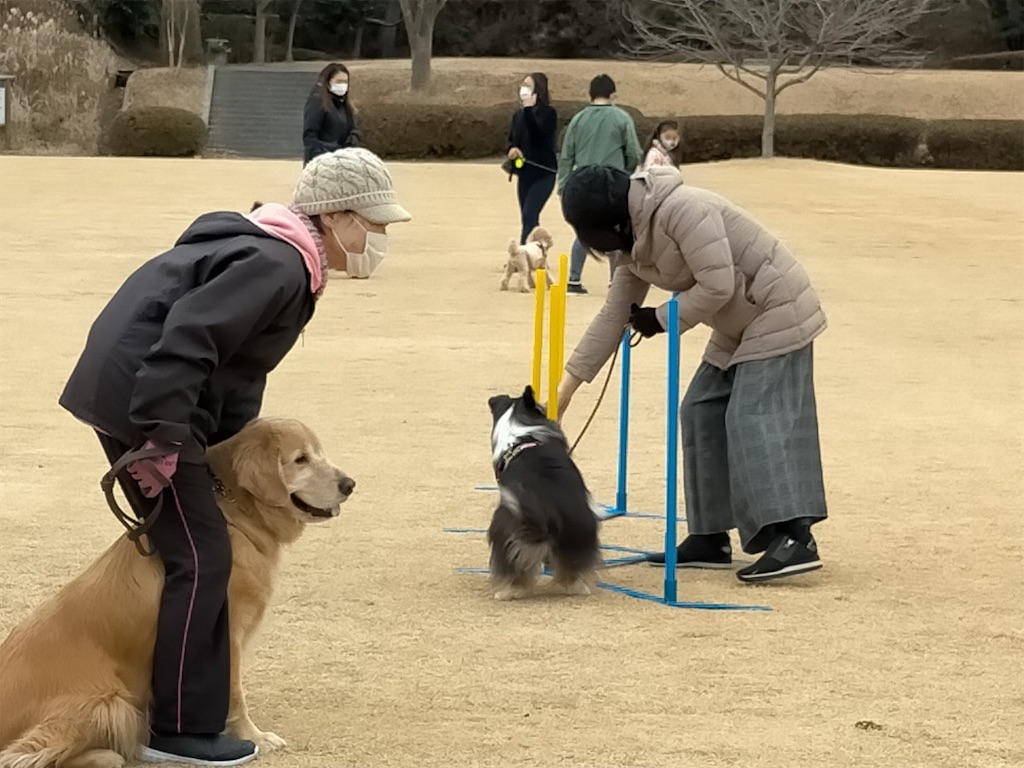 f:id:sakaivet2019:20210118211106j:image