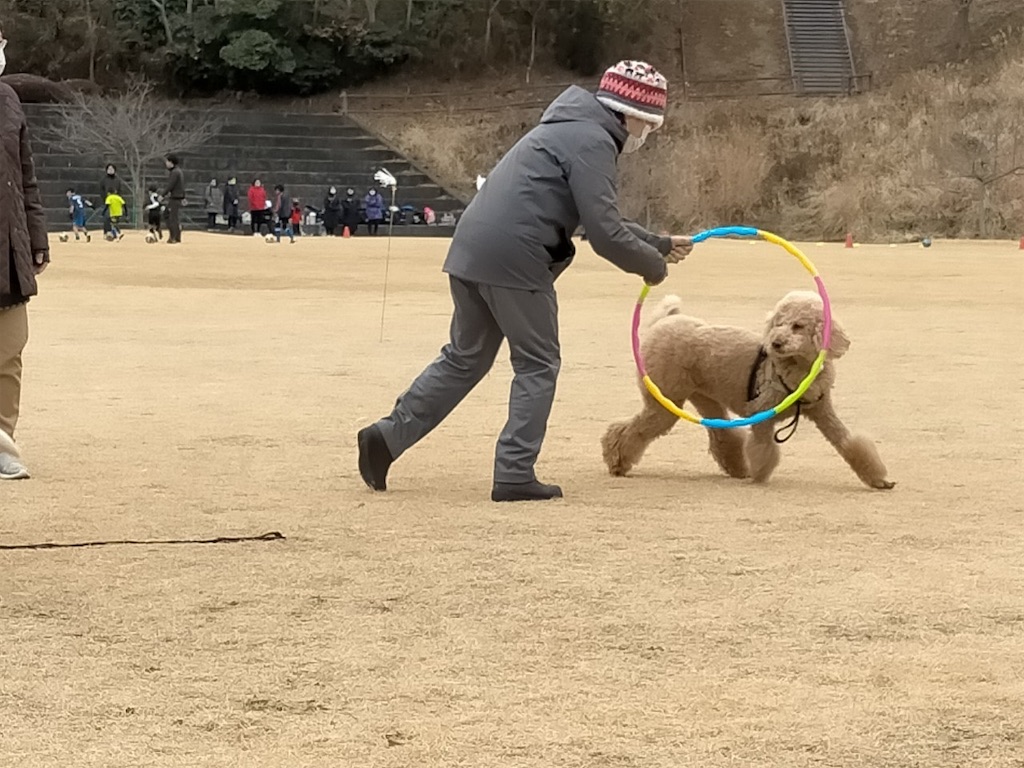 f:id:sakaivet2019:20210118211520j:image