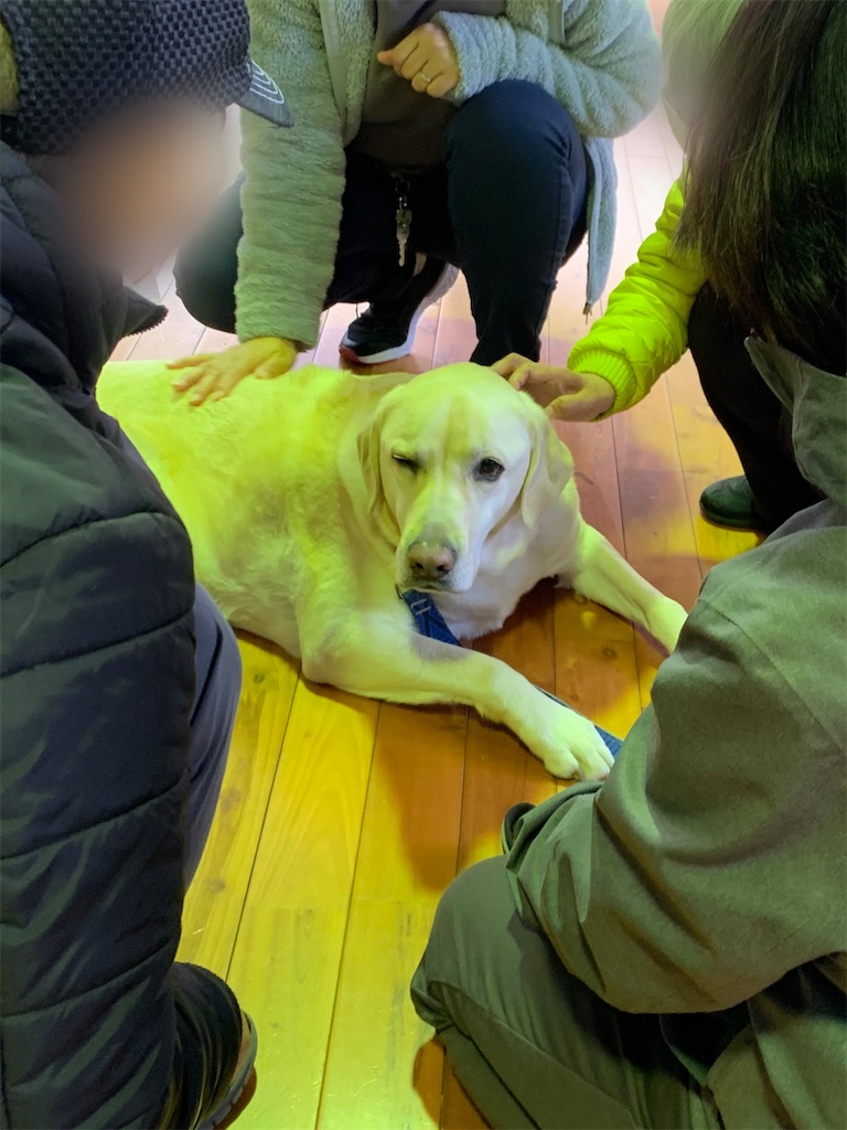 f:id:sakaivet2019:20210222181805j:image