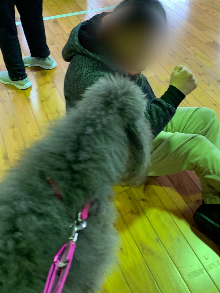f:id:sakaivet2019:20210222181812j:image