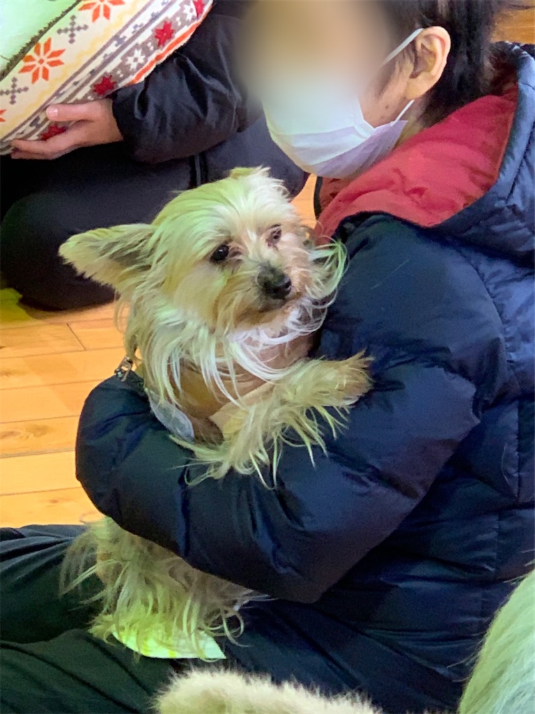 f:id:sakaivet2019:20210222181825j:image
