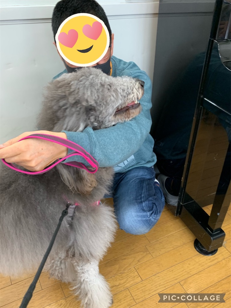 f:id:sakaivet2019:20210226123806j:image f:id:sakaivet2019:20210226123806j:image