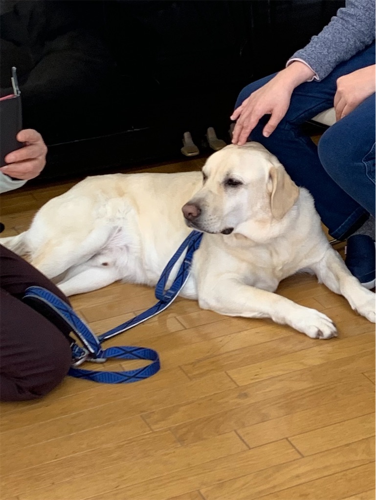 f:id:sakaivet2019:20210226123813j:image f:id:sakaivet2019:20210226123813j:image