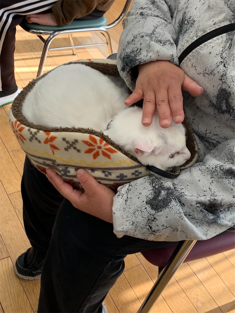 f:id:sakaivet2019:20210226123827j:image f:id:sakaivet2019:20210226123827j:image