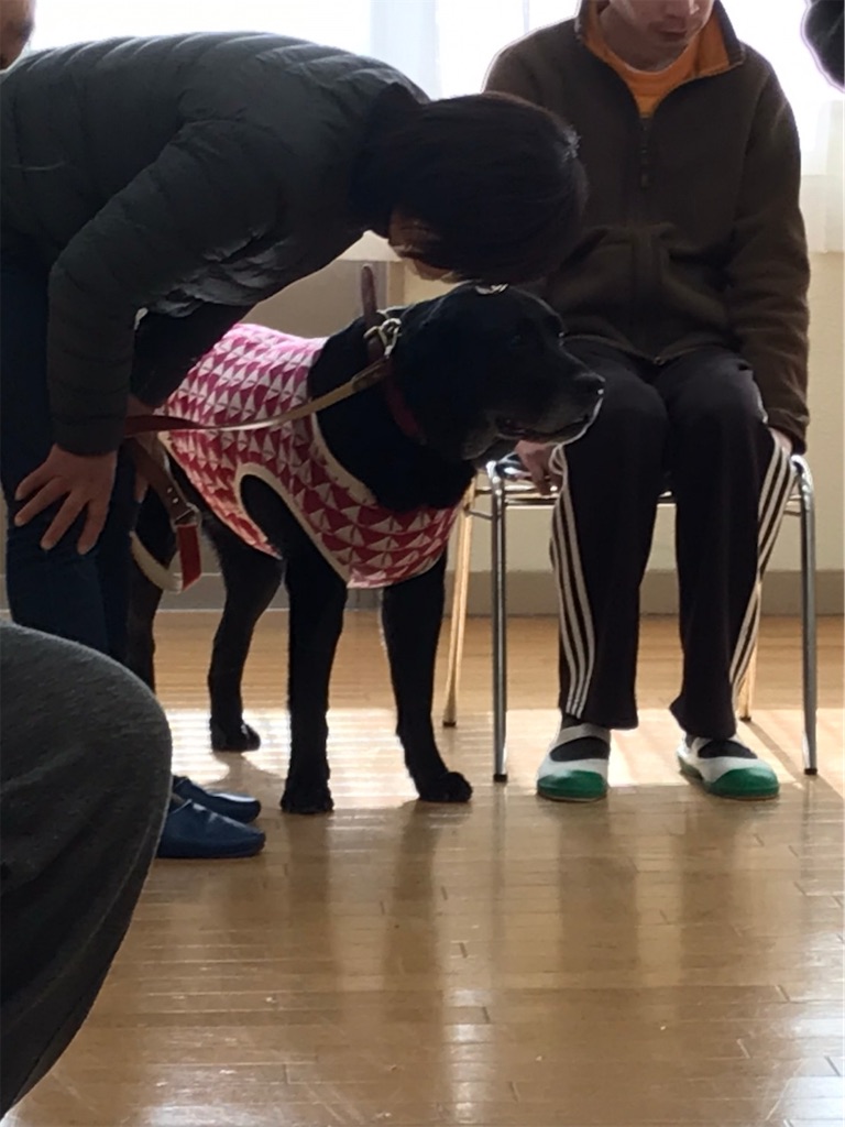 f:id:sakaivet2019:20210226123840j:image f:id:sakaivet2019:20210226123840j:image