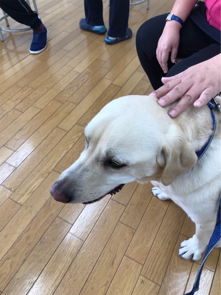 f:id:sakaivet2019:20210226123844j:image f:id:sakaivet2019:20210226123844j:image