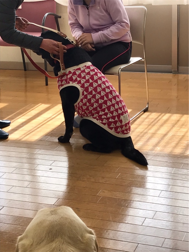f:id:sakaivet2019:20210226123847j:image f:id:sakaivet2019:20210226123847j:image