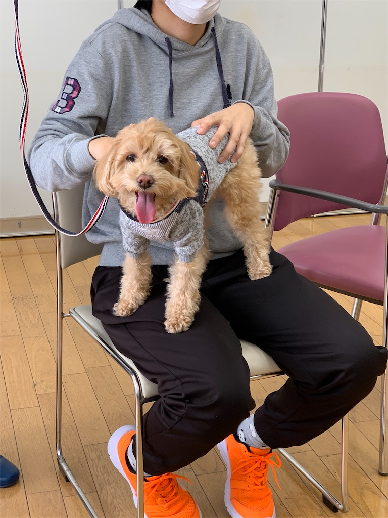f:id:sakaivet2019:20210226123851j:image f:id:sakaivet2019:20210226123851j:image