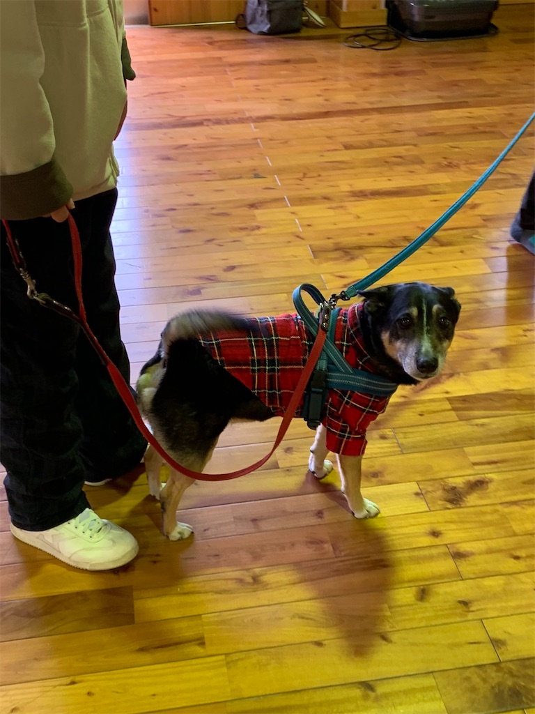 f:id:sakaivet2019:20210312102251j:image f:id:sakaivet2019:20210312102251j:image