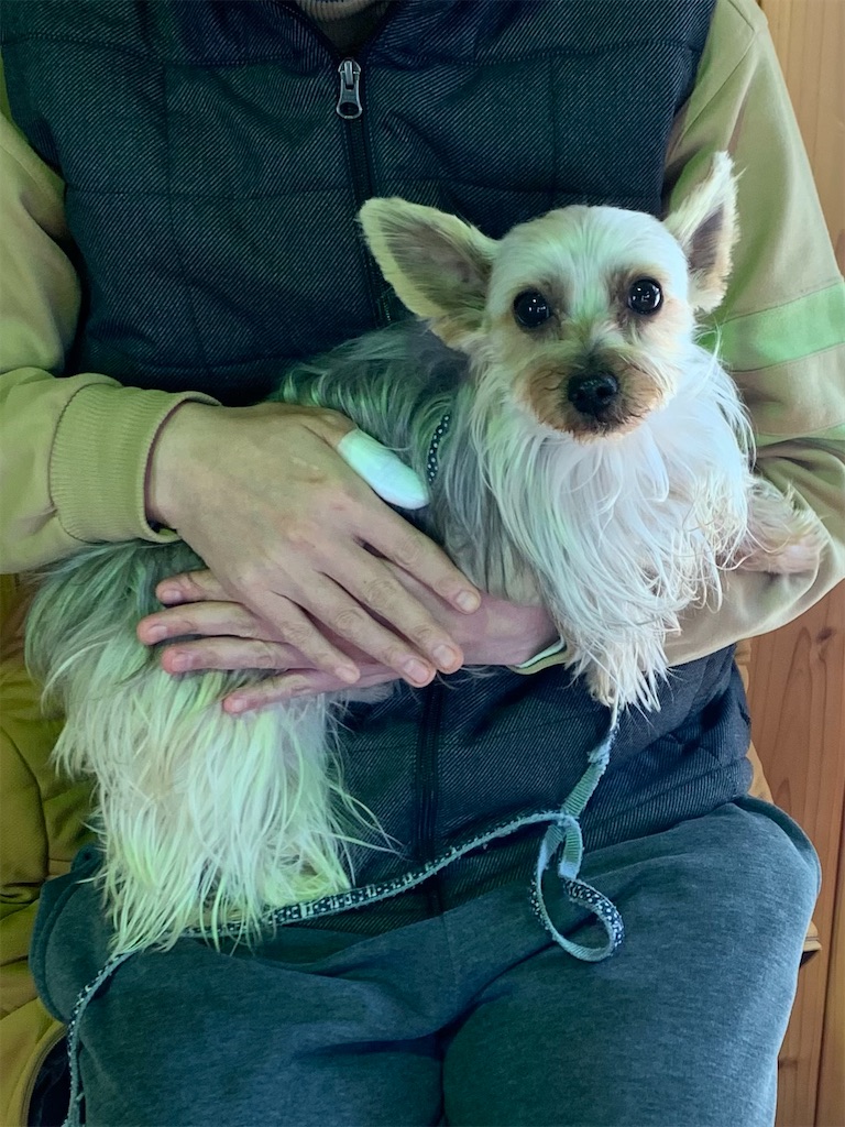 f:id:sakaivet2019:20210312102259j:image f:id:sakaivet2019:20210312102259j:image