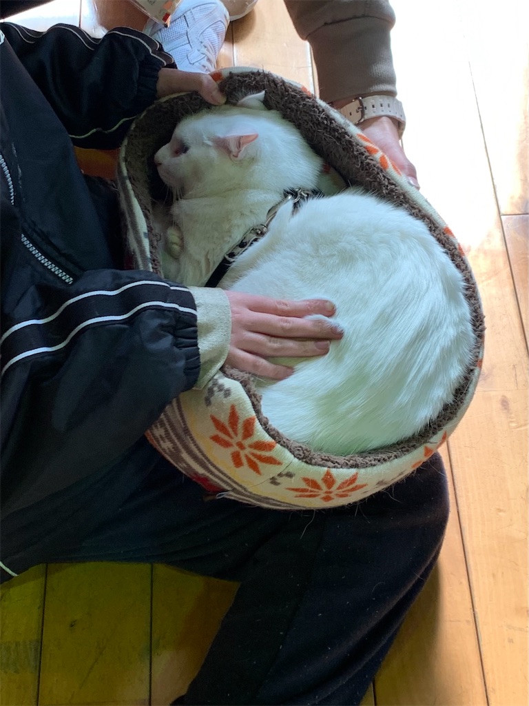 f:id:sakaivet2019:20210312102302j:image f:id:sakaivet2019:20210312102302j:image