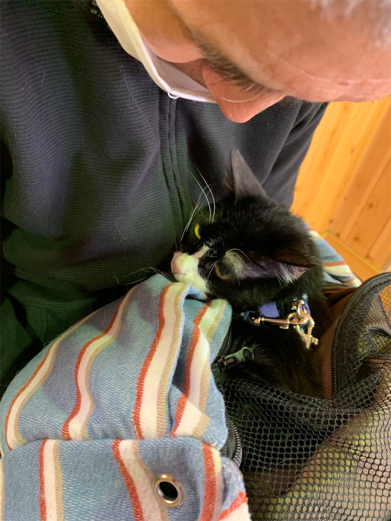 f:id:sakaivet2019:20210312102305j:image f:id:sakaivet2019:20210312102305j:image