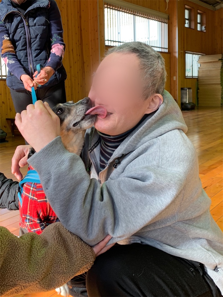 f:id:sakaivet2019:20210312102309j:image f:id:sakaivet2019:20210312102309j:image