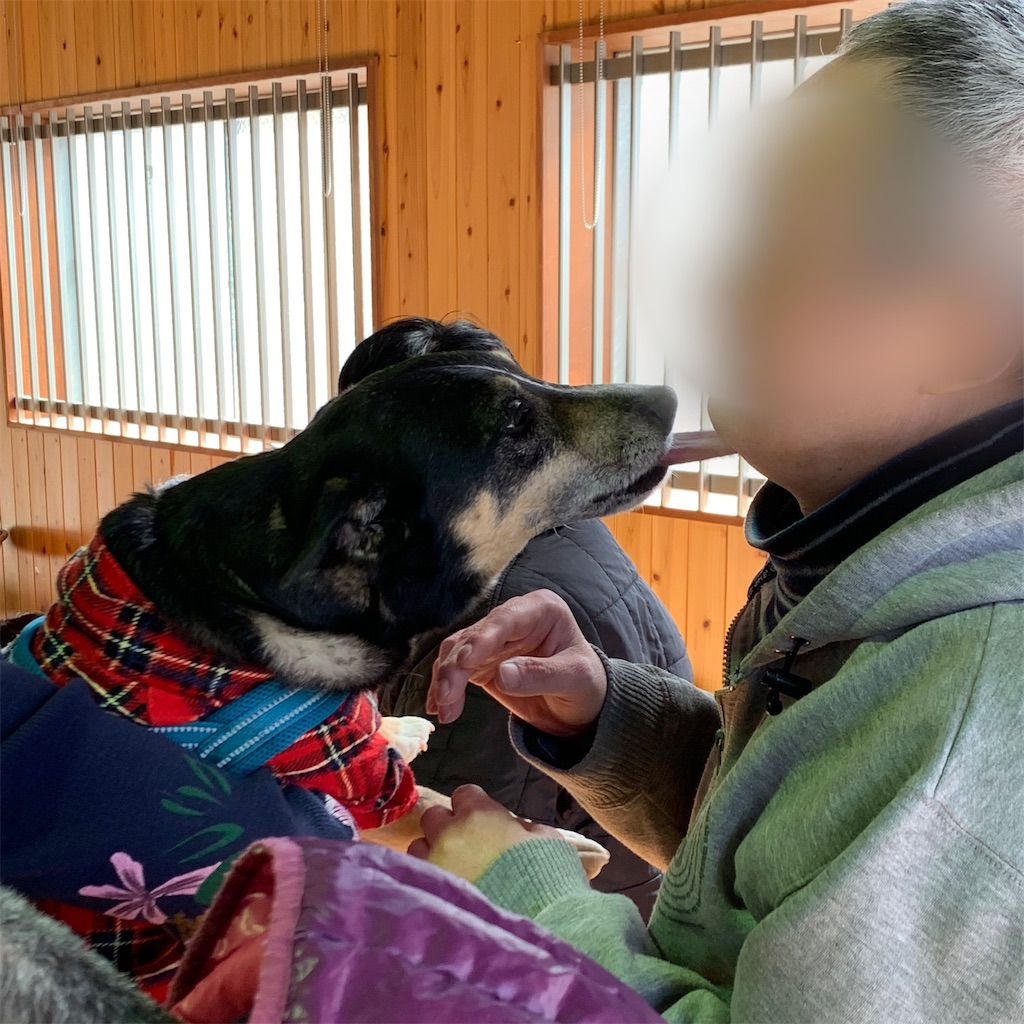 f:id:sakaivet2019:20210312102313j:image f:id:sakaivet2019:20210312102313j:image