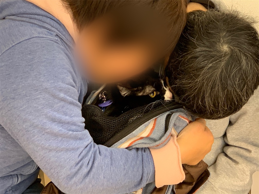 f:id:sakaivet2019:20210321170618j:image f:id:sakaivet2019:20210321170618j:image